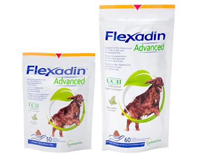 Flexadin Advanced für Hunde zwei Packungen